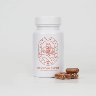 Reishi Supplements