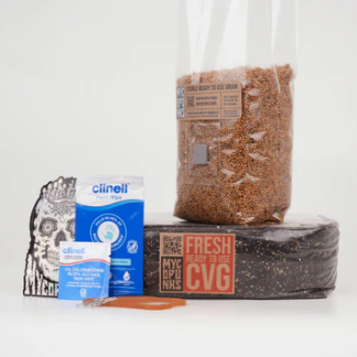 Beginner Mushroom Grow Kit