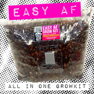 EASY AF Mushroom Grow Kit