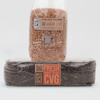 Sterile Grain + CVG Bundle
